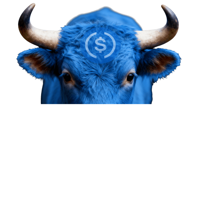 $BUCK the Bull